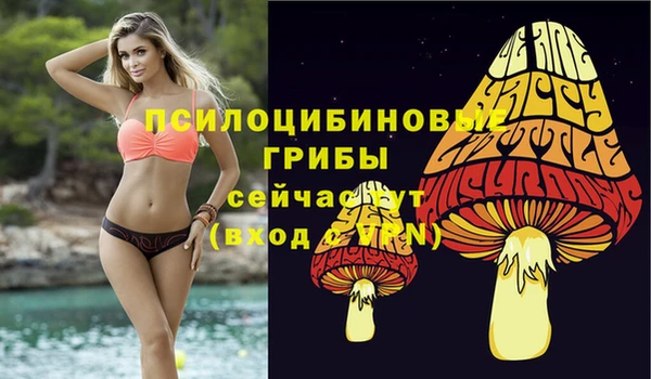 jwh Новокубанск