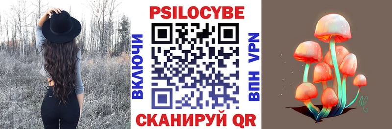 Галлюциногенные грибы Psilocybine cubensis Рассказово